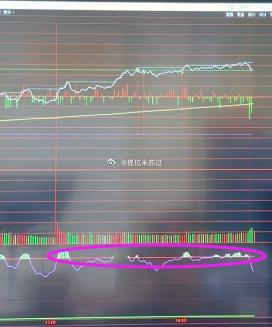 下午这个分时太强，不回踩，就会消耗动能，下周还有低吸机会。 