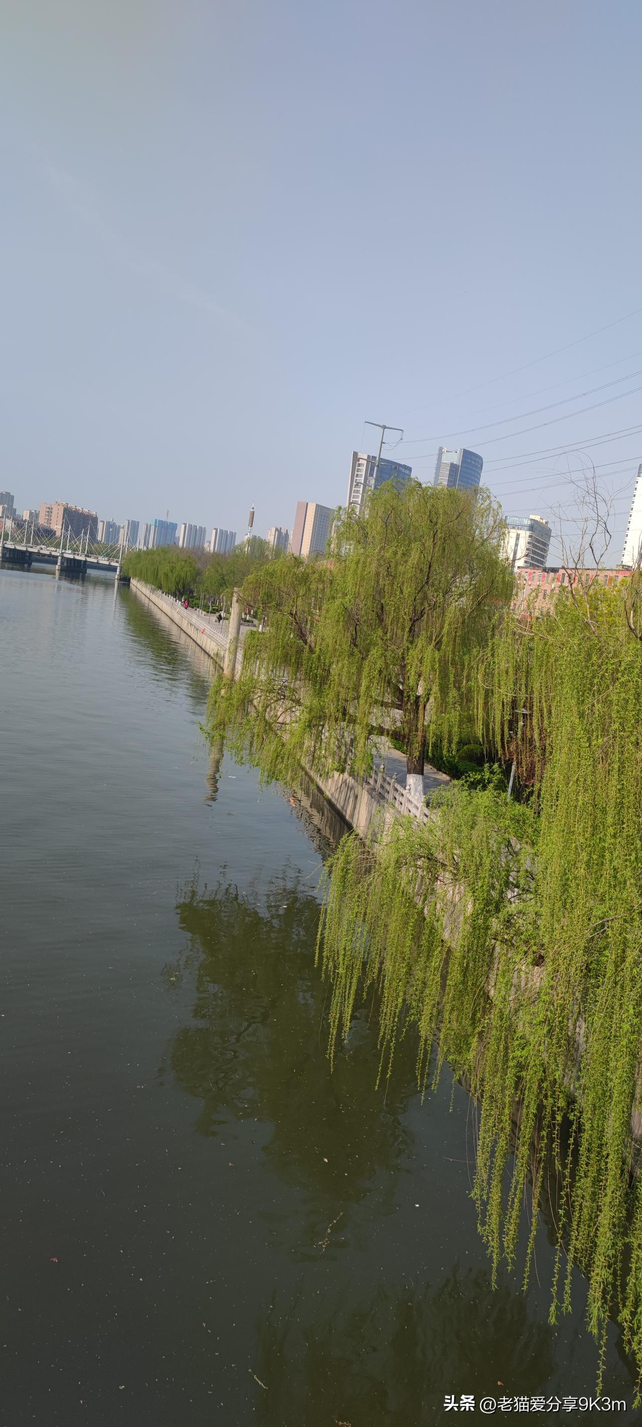 终于知道胖子为啥胖了
 
一起培训的小组里，有个28岁的姑娘，身高不算高，体重得