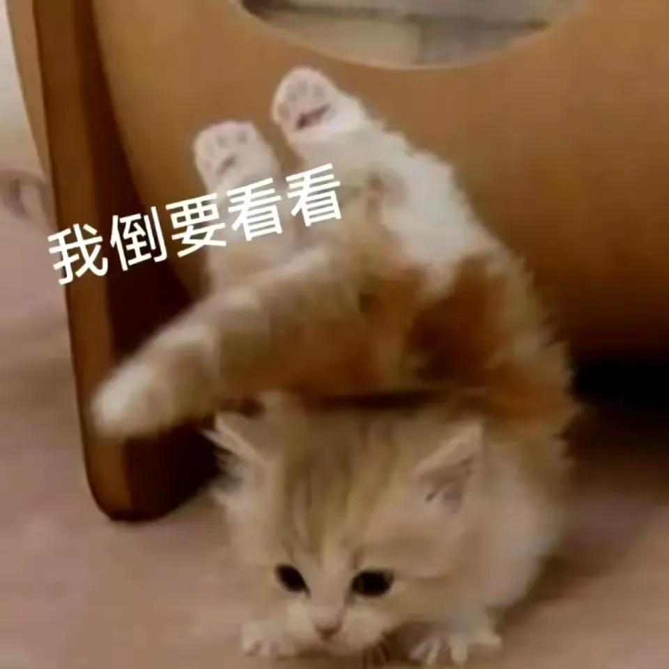 一样的喜欢[大笑]