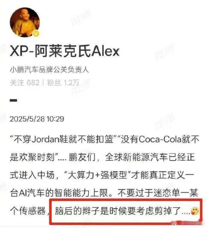 小鹏现在有两种智驾模式，一种是激光雷达，一种是视觉摄像头为主（其他非激光雷达感知