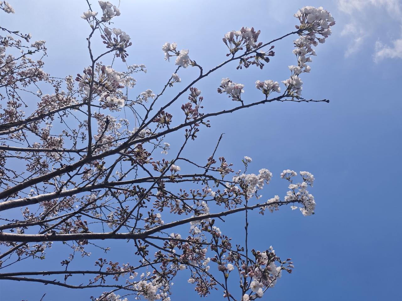 3月8日的央视《新闻联播》公开了最新两艘055型导弹驱逐舰，舷号分别是东莞舰（1