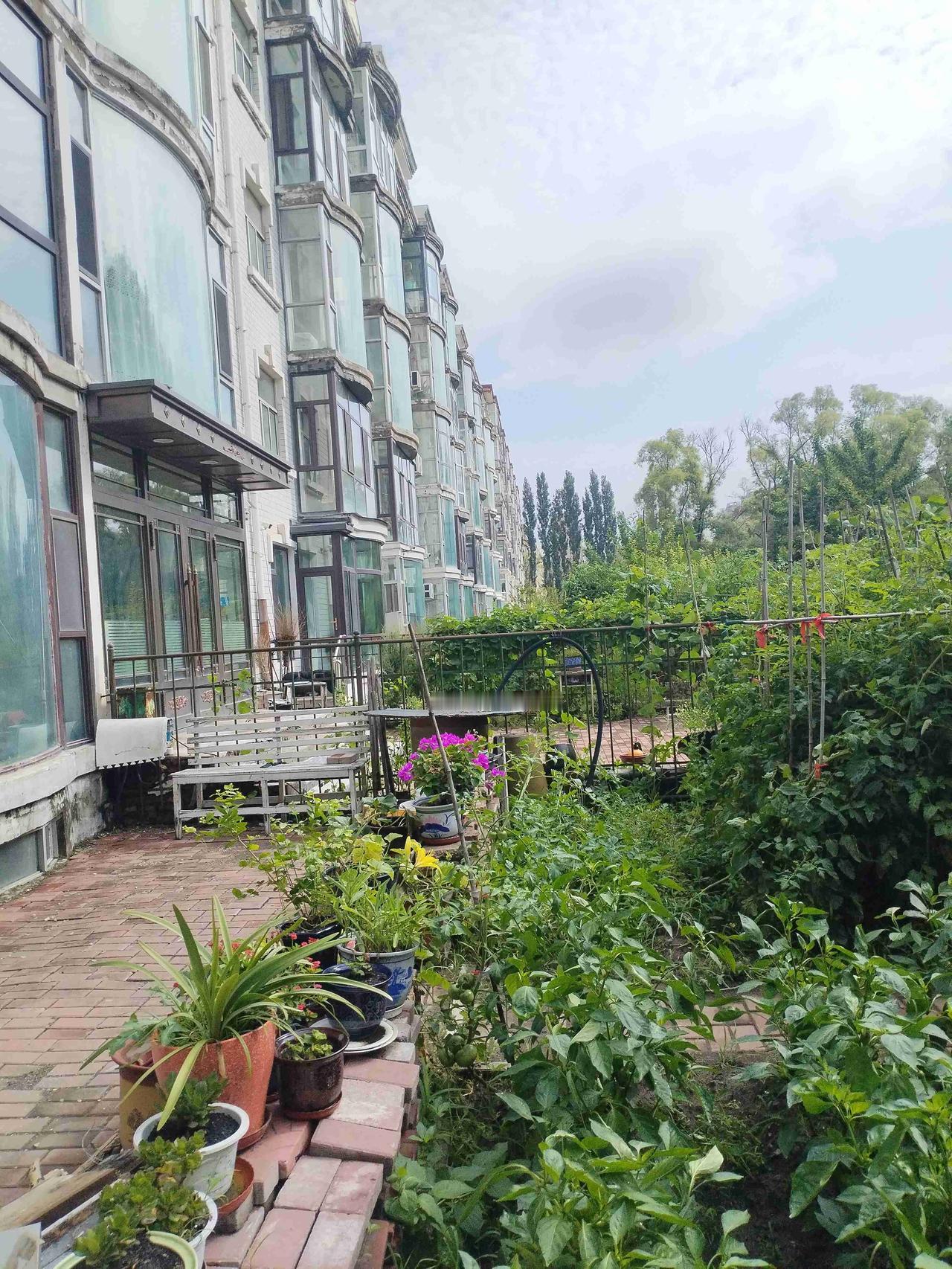 我的今日状态：😁轻松愉快
我这里的天气：☀️晴天
   这里是黑龙江省肇东市卫