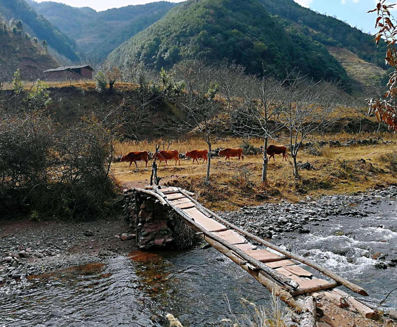 华为面试题：一头牛重800千克，一座桥承重700千克，牛怎么过桥？
作为企业面试
