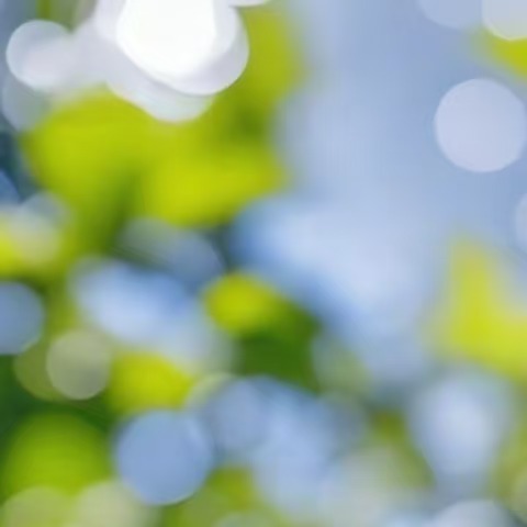 施比受更有福，愿我们用心呵护每一份慈悲之心汇聚成人间的璀璨星河照耀每个渴望光明的