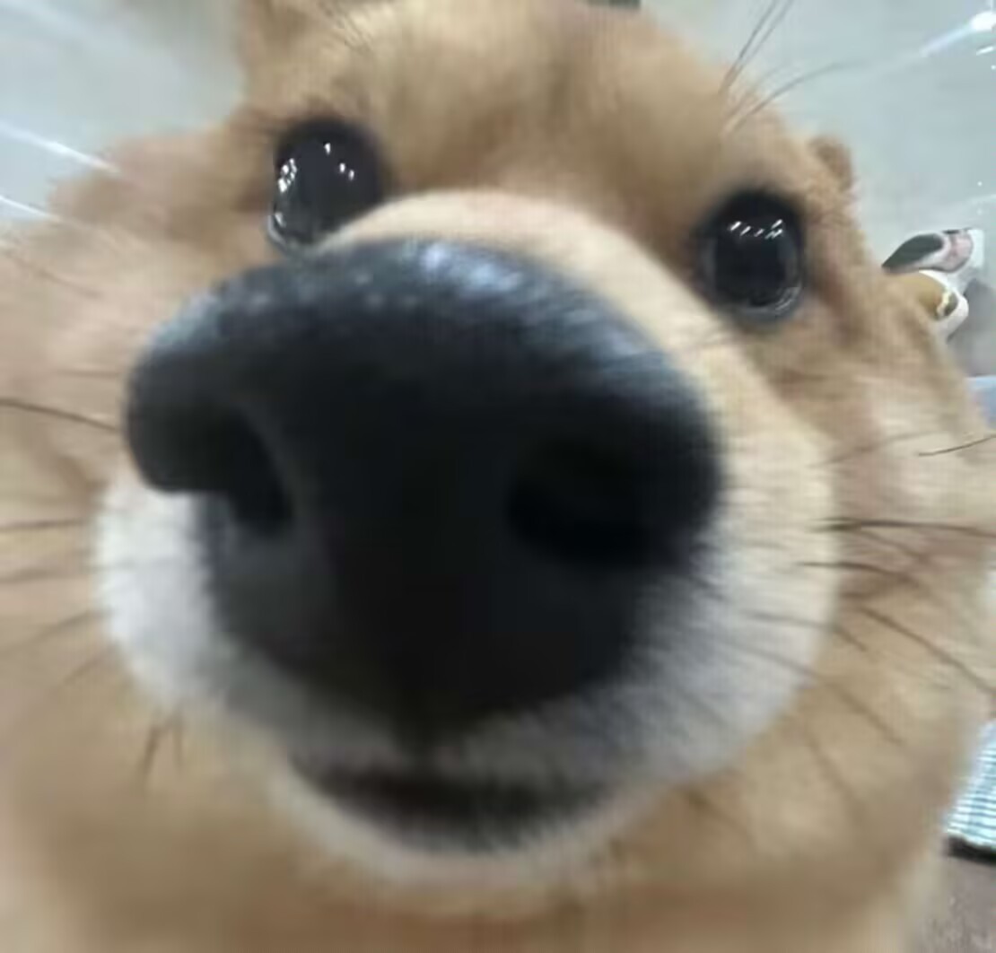 最近将你从“电子阳痿”中拯救出来的游戏是？魔王夜谈