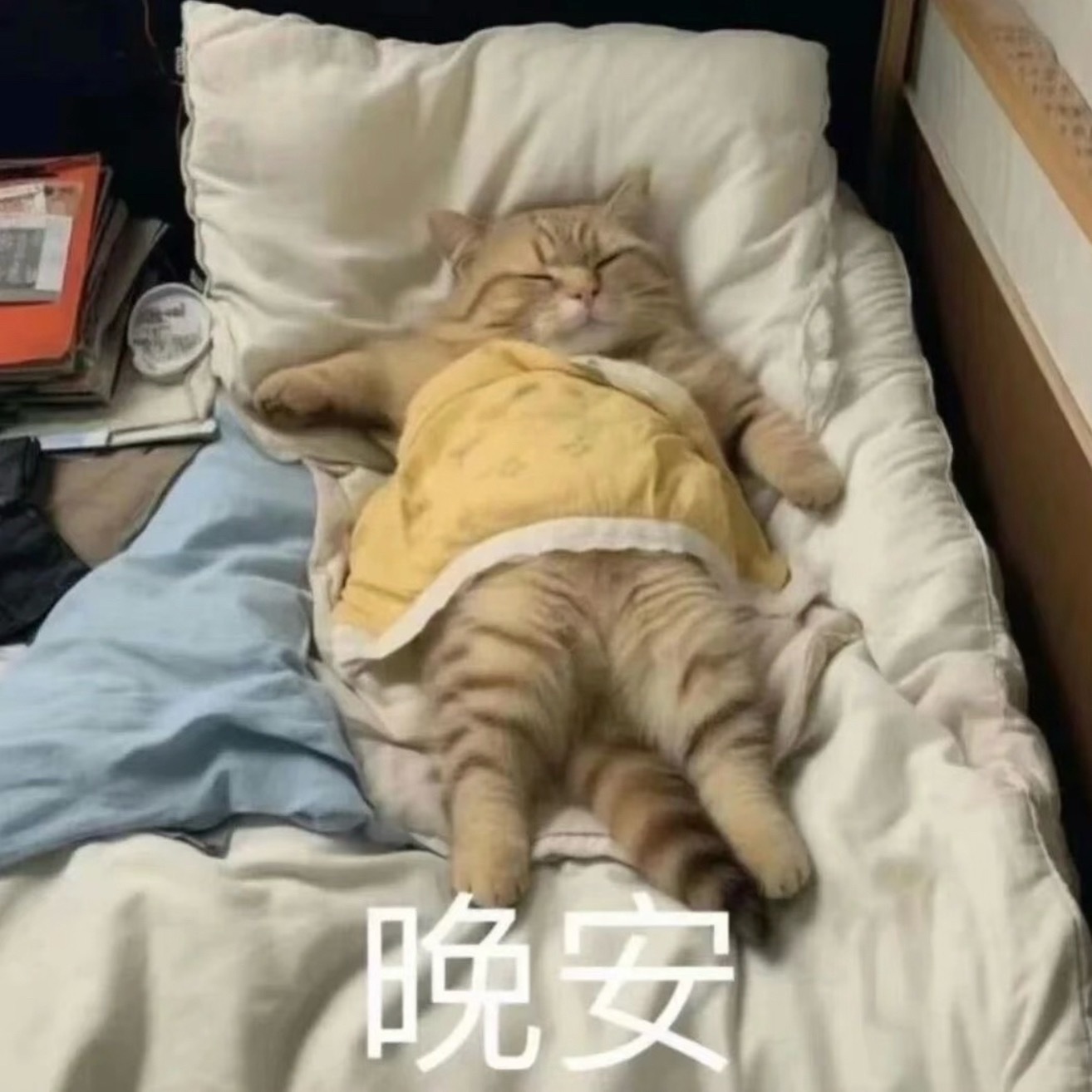 晚安小伙伴们