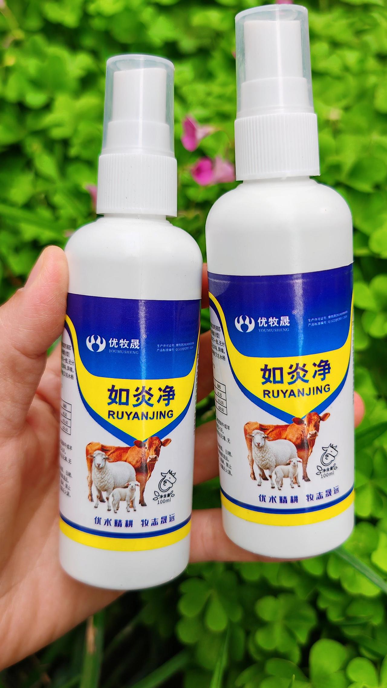 养羊人 农村养羊