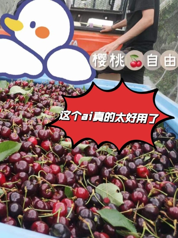 whv攒225万？教你用ai比别人获取更多信息