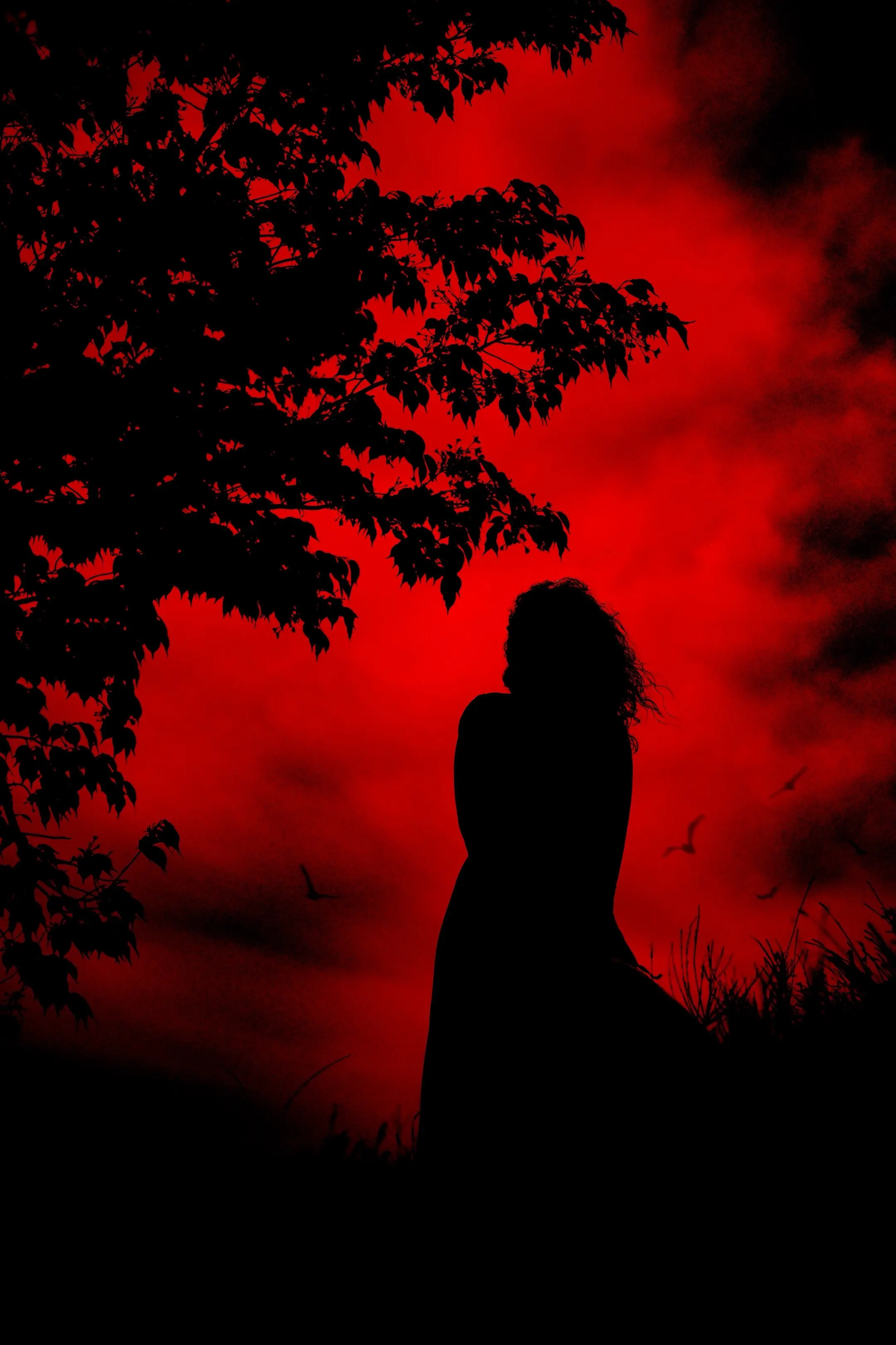 希望所有女性都能挺起自己的脊梁。别把自己当第二 性次等人——【乱世佳人...