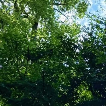 阳光信用 🍀阳光信用 🍀每日一善 真正让人变好的选择，过程都不会很舒服。你明