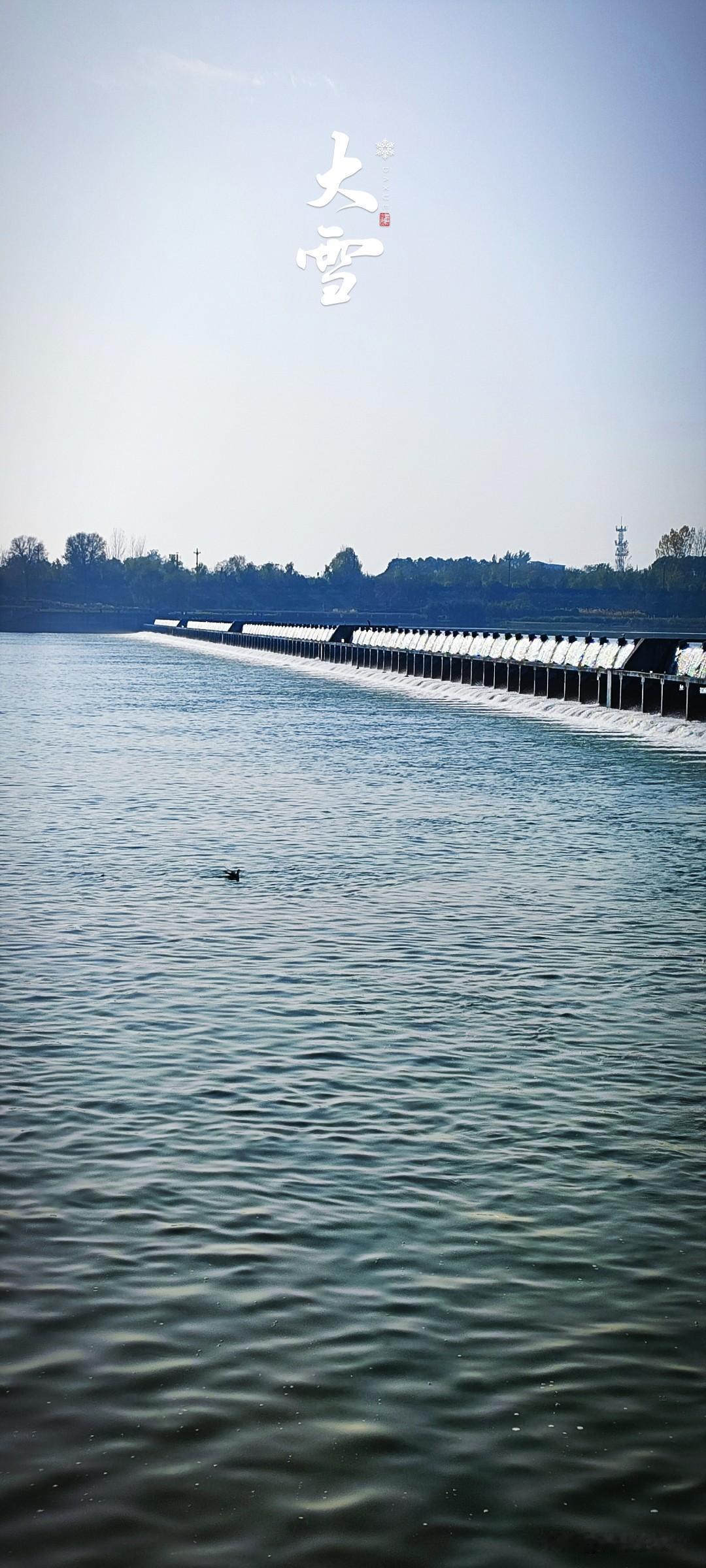 冬日生活打卡季晴天的汉江，似乎也不太冷了。跃过翻板的江水哗哗流淌，江鸥索性游弋在