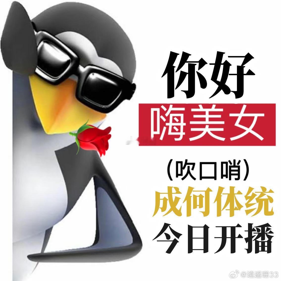 王楚然丞磊抽象情头剧集成何体统从海报到预告，现在连头像都这么抽象。官博发失物招领