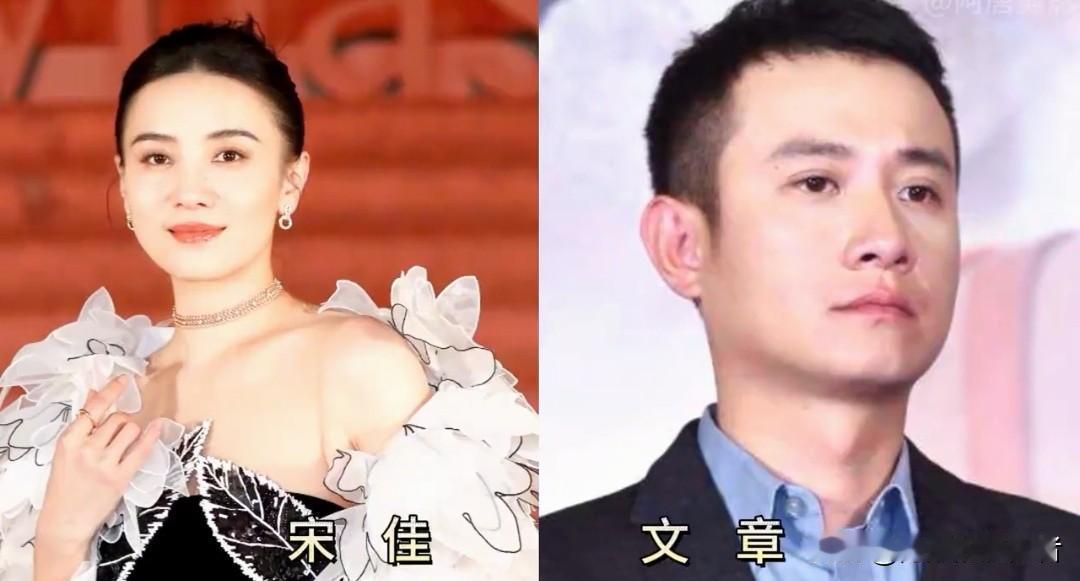 被宋佳“合作过”的十位男星，个个都是实力派。
宋佳在演艺圈人缘好、戏路广，和不少