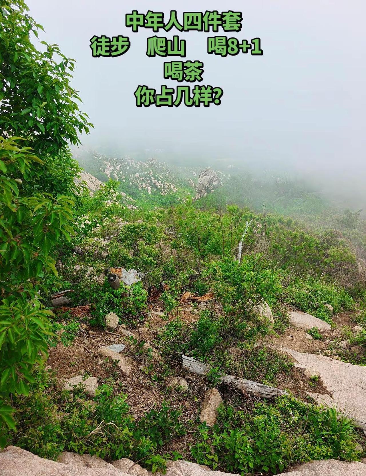每周一山。铁橛山精简全攻略｜青岛西海岸六汪镇 📍基础 门票：免费｜主峰会仙峰5