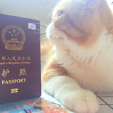 圆滚蓬热聊科技