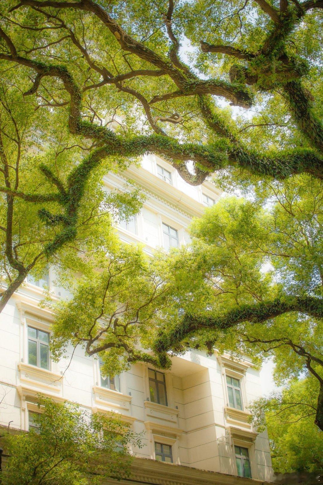 改变从来不需要许可我比自己以为的要强大和幸运100中表达爱的方式情感语录