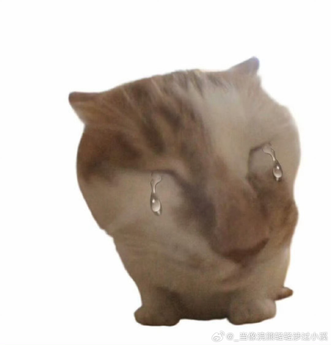 苍天大地啊到今天我终于瘦了20斤整了！里程碑，这是一个里程碑！接下来继续努力！ 