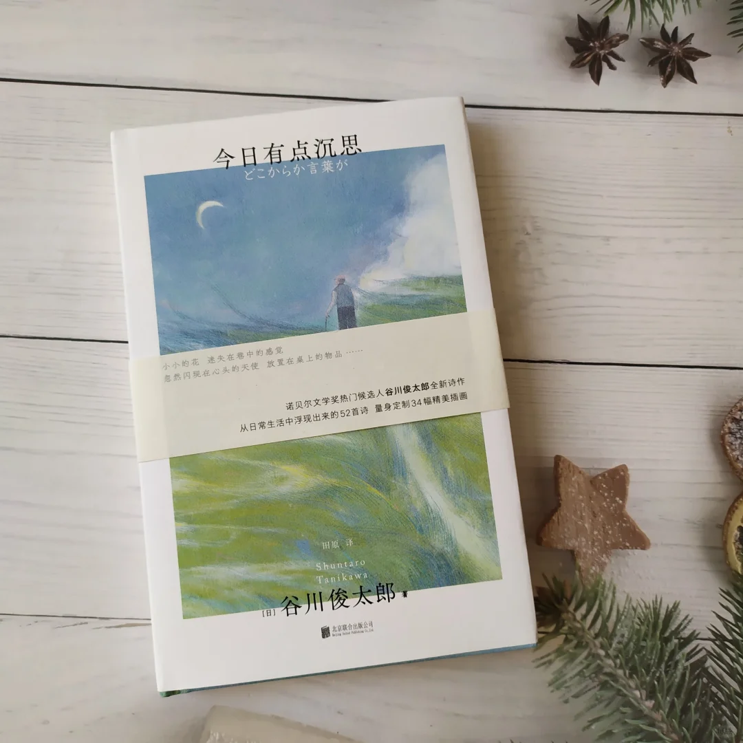 会让你陶醉在其中的诗集