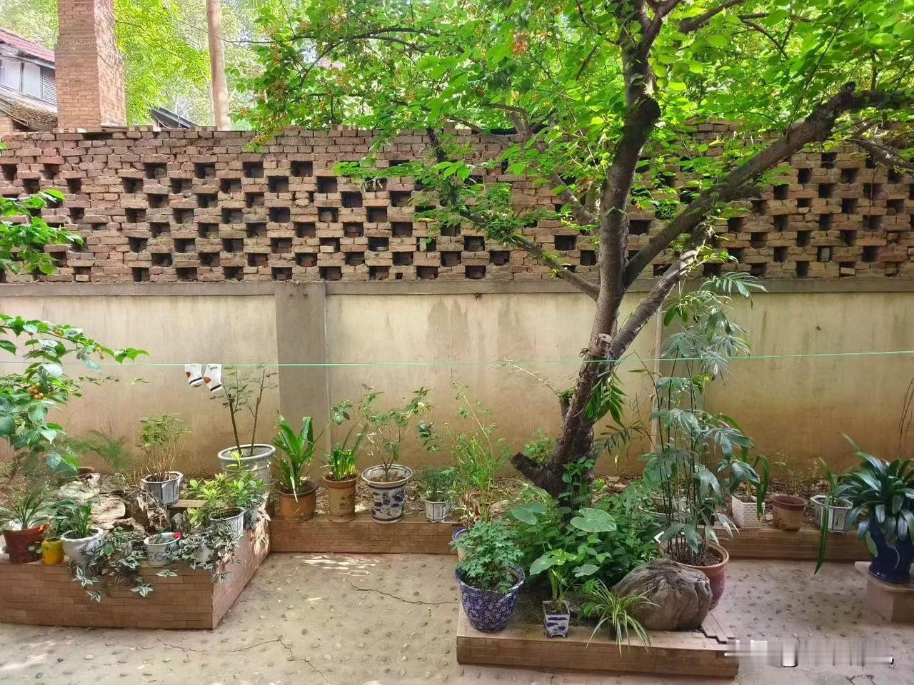 一个老小区里都是老太太扎堆聊天，60岁到8-90岁的都有，现在天热了，随便什么时