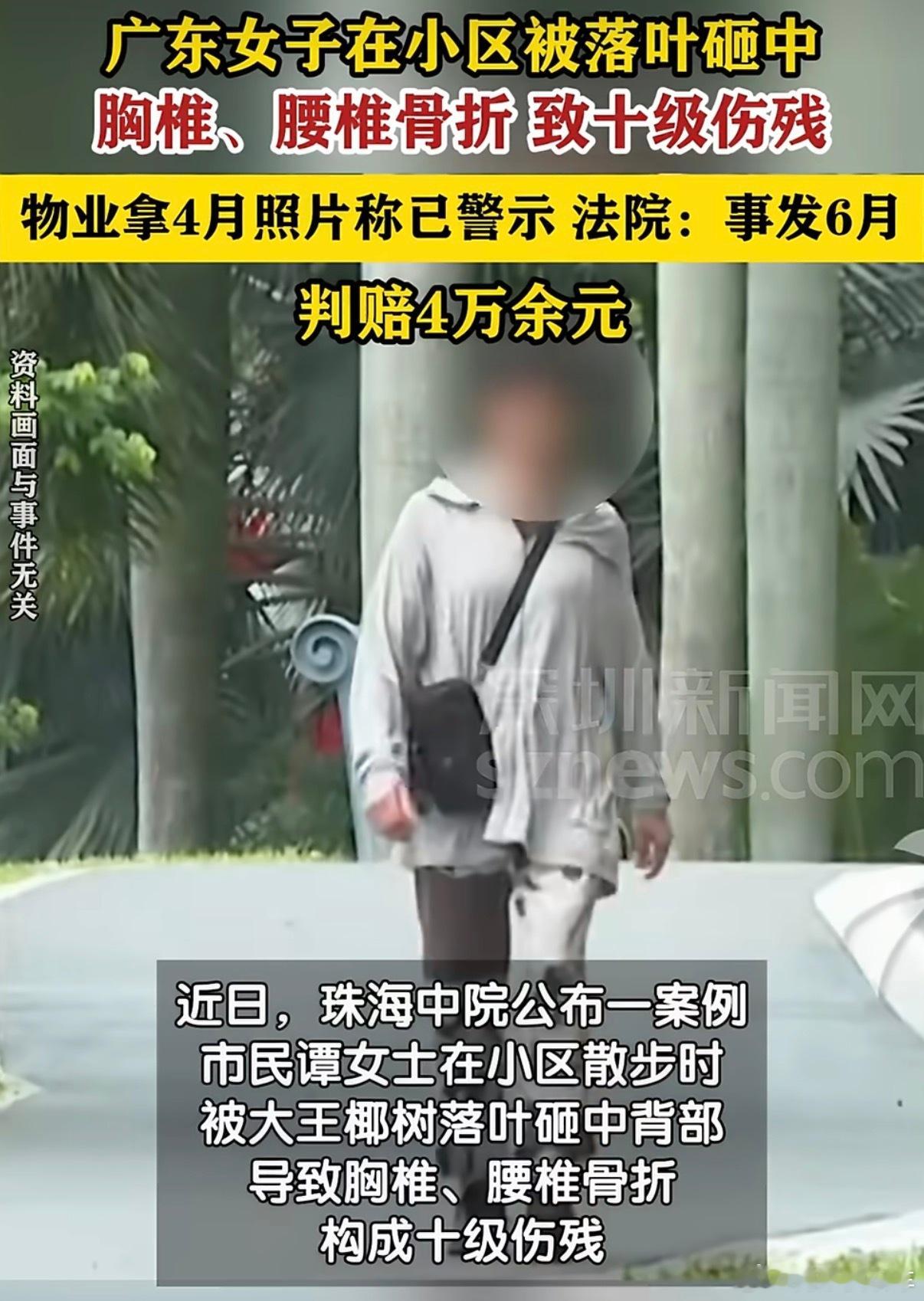 女子散步被落叶砸成十级伤残谁能想到在小区遛弯，能被落叶砸成十级伤残？大王椰树普遍