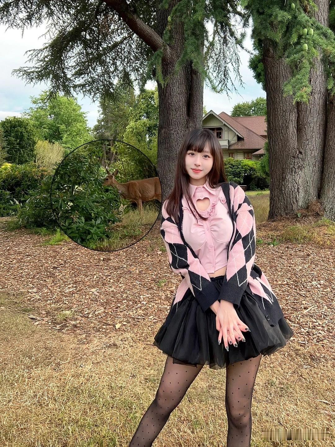 “鹿鸣林间静，人立花影中”，这诗句一下就把我拉进了如梦如幻的场景。想象那片静谧森
