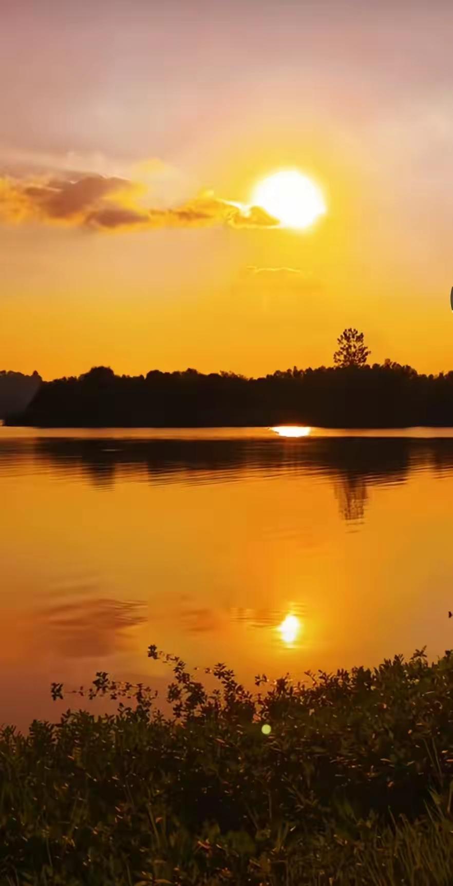 清晨拉开窗帘，
阳光“唰”地一下照在脸上，
那一刻我突然明白了
——原来真正值钱