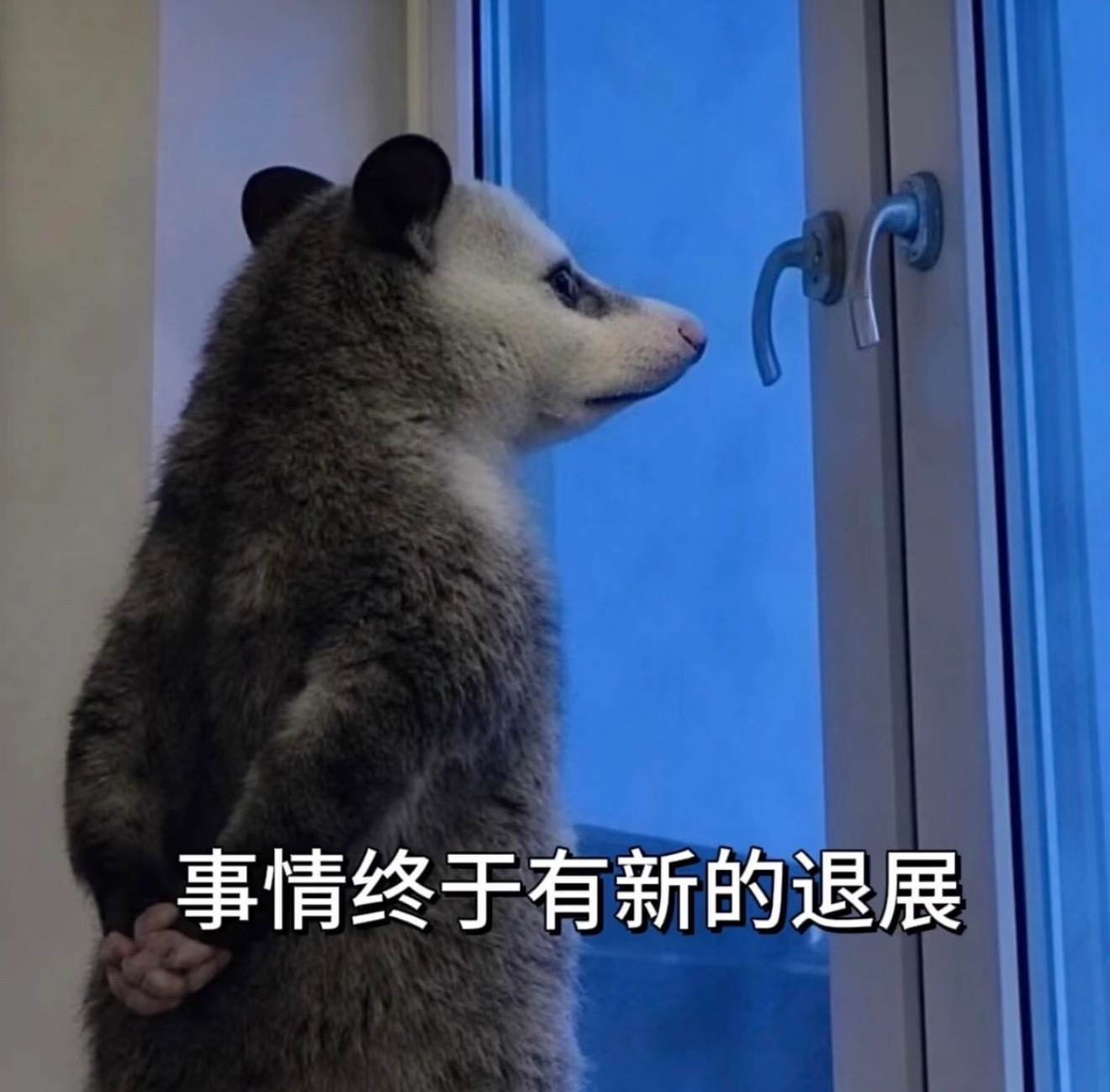 原来不是看不到只是不想管那我将默认你们认同粉丝对待无辜女艺人的一切行为 
