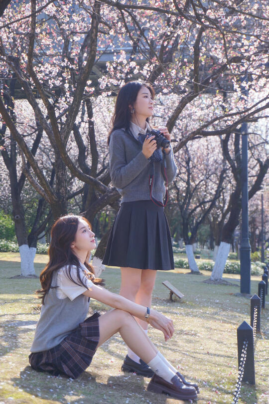 樱花树下🌸