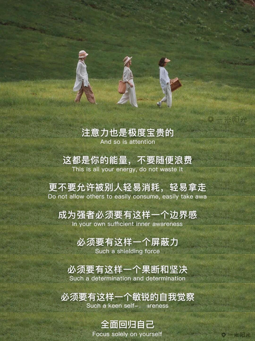 《自我反思 寻找本真》在这个快速变化的时代，我们常常被外界的声音和期望所左右，忘