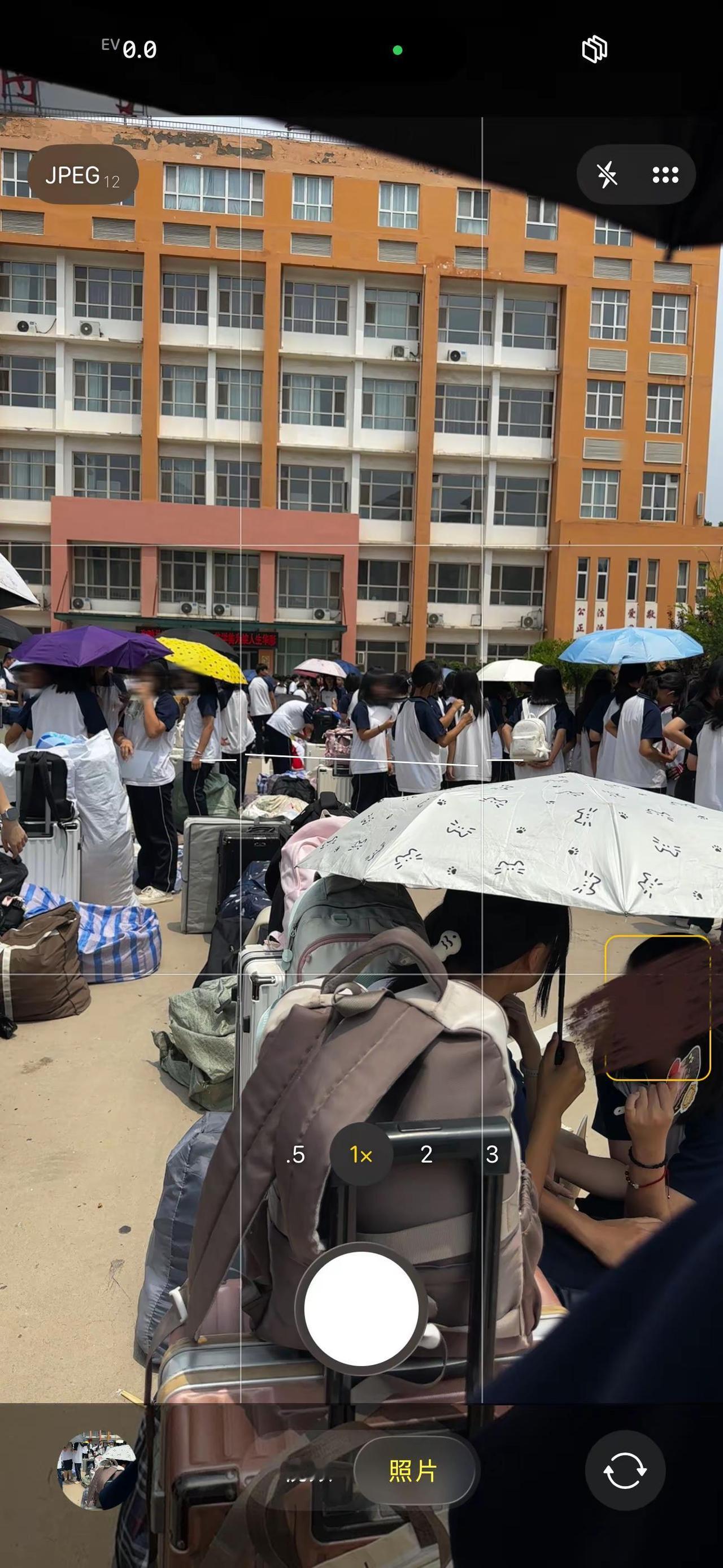 下学期见🫡