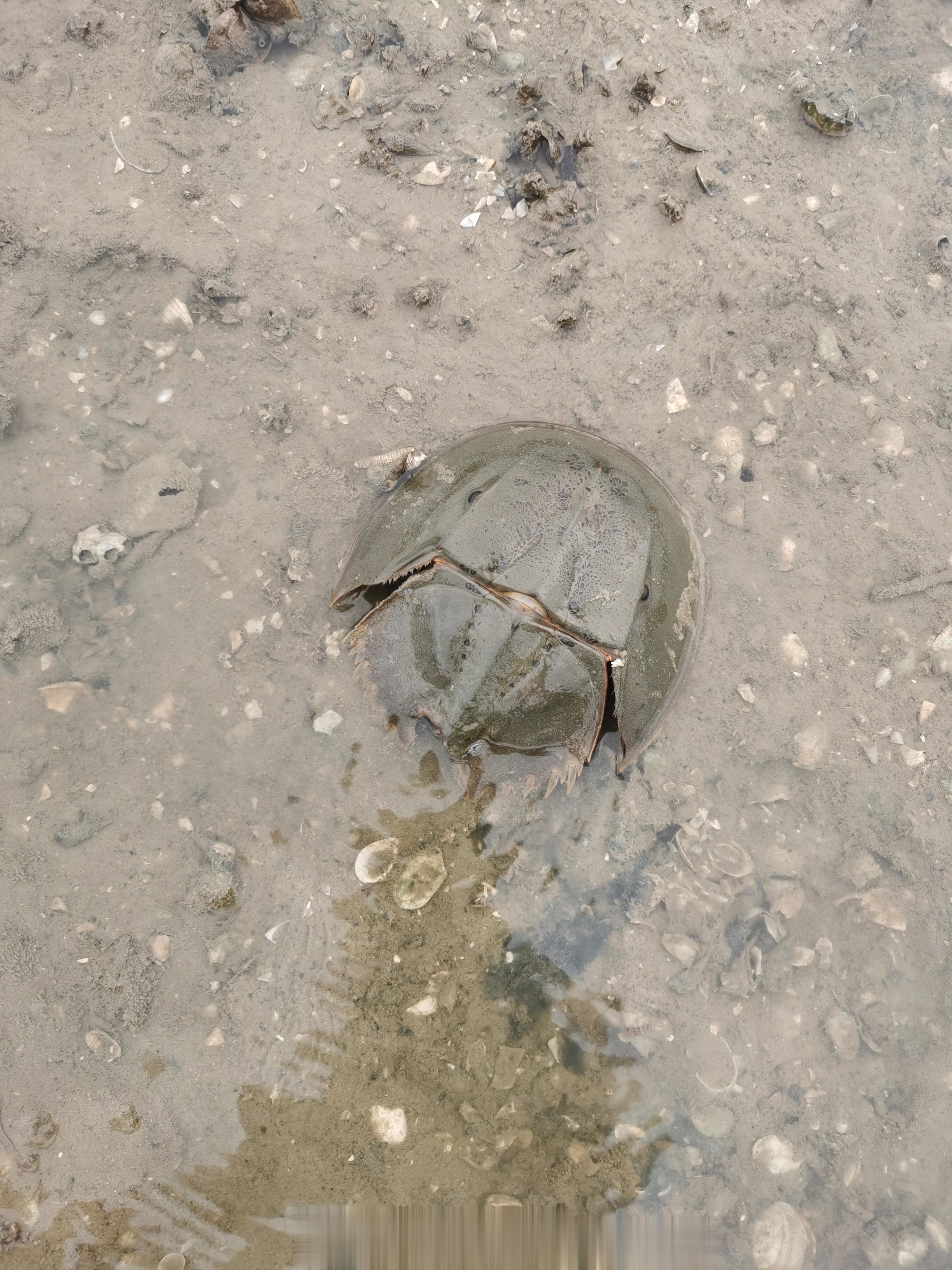 夏天就要去海边 ​​​