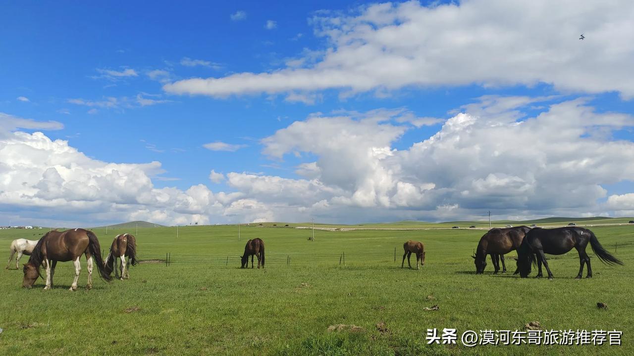 #呼伦贝尔##感受大草原之美# #草原美图分享# #旅行者穿越草原# #旅行风光