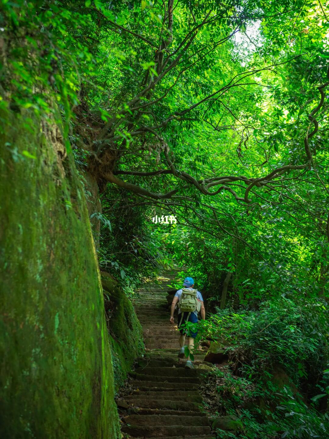 好喜欢成都这样舒服的徒步，登山访唐代古迹
