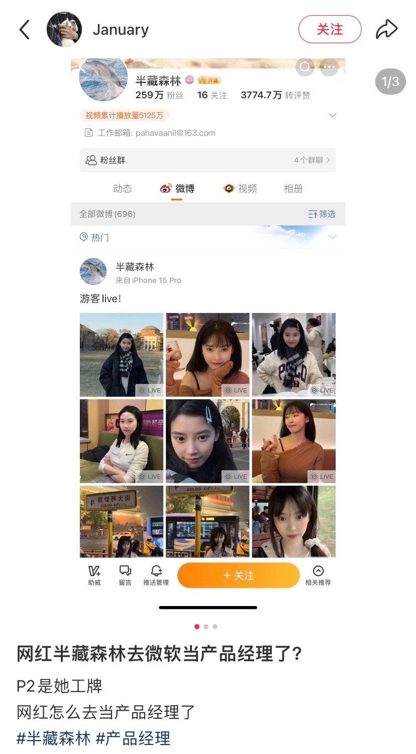 半藏森林啥水平，据说还是一家外企？ 