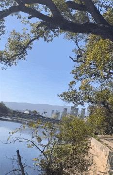 钓鱼佬真的是无敌了