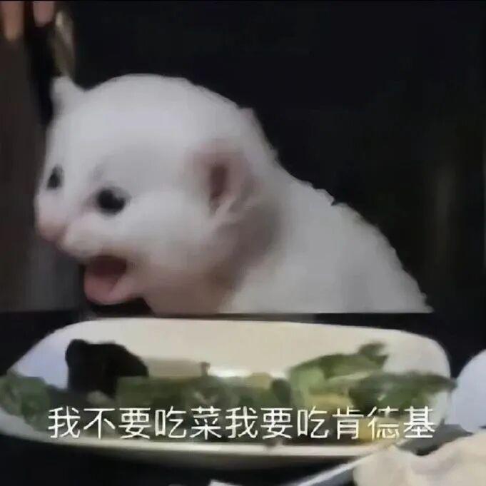 生活手记生活手记[超话]早上好呀！大吉大利今天吃冰淇淋[馋嘴] ​​​