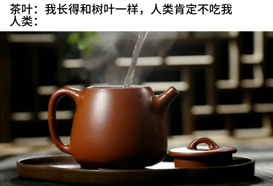 原来站在食物链顶端这么爽[开摆]#今日快乐今日发# ​​​