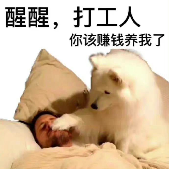最新收藏的表情包 #表情包# ​​​