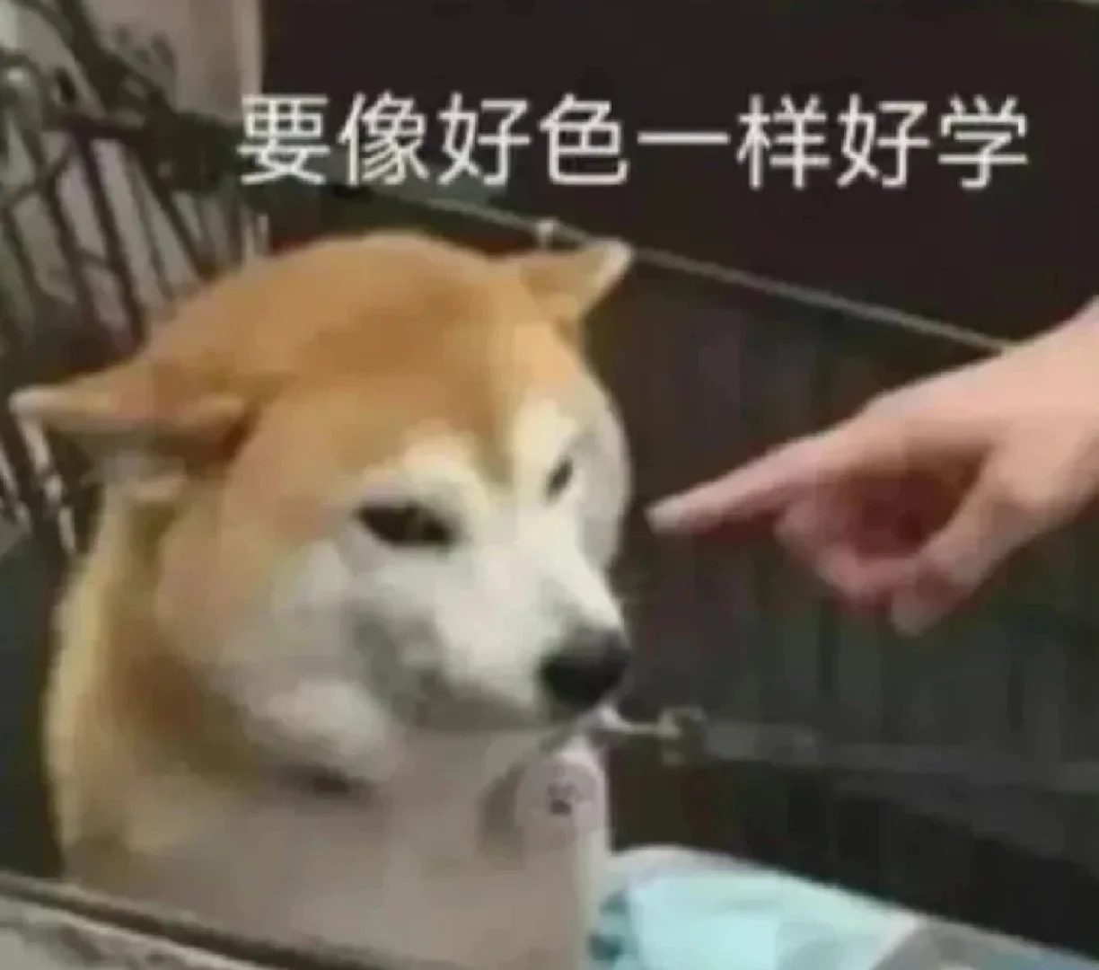 今天又没有物料，为啥不能讨论？索性今天说开了，免得次次有人犯傻添乱。啥都不引导自