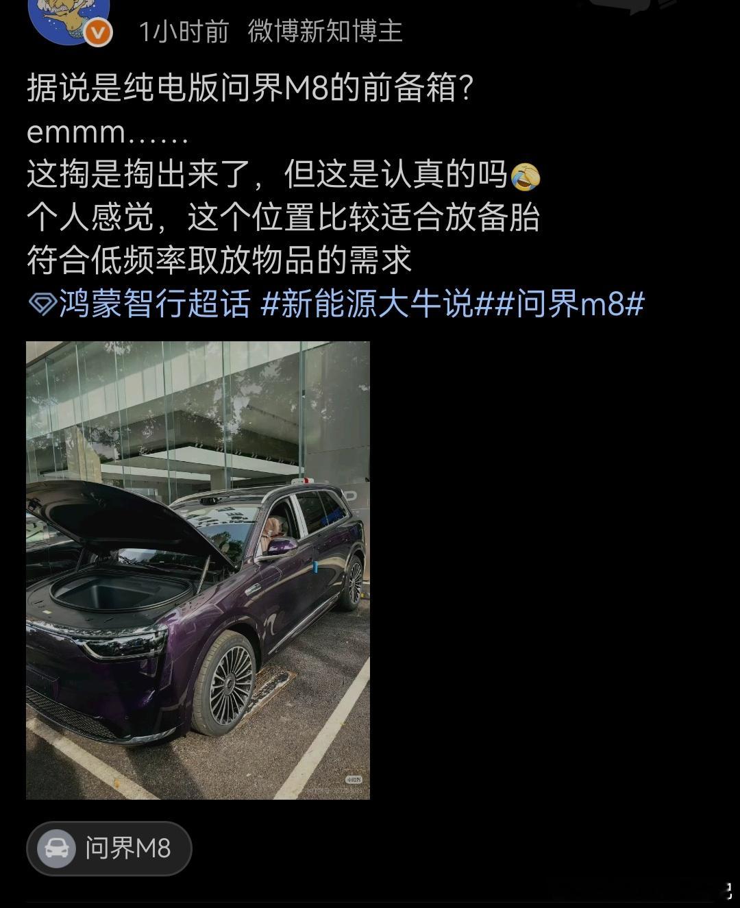 作为纯电车型独有的功能，“前备箱”本来就是优势，不管是小鹏这种小的可可爱爱的，还