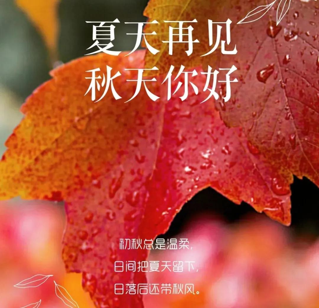 终于凉快了
往年过了立秋
中午热早晚会凉快
今年立秋过了还一直高温
持续高温
太