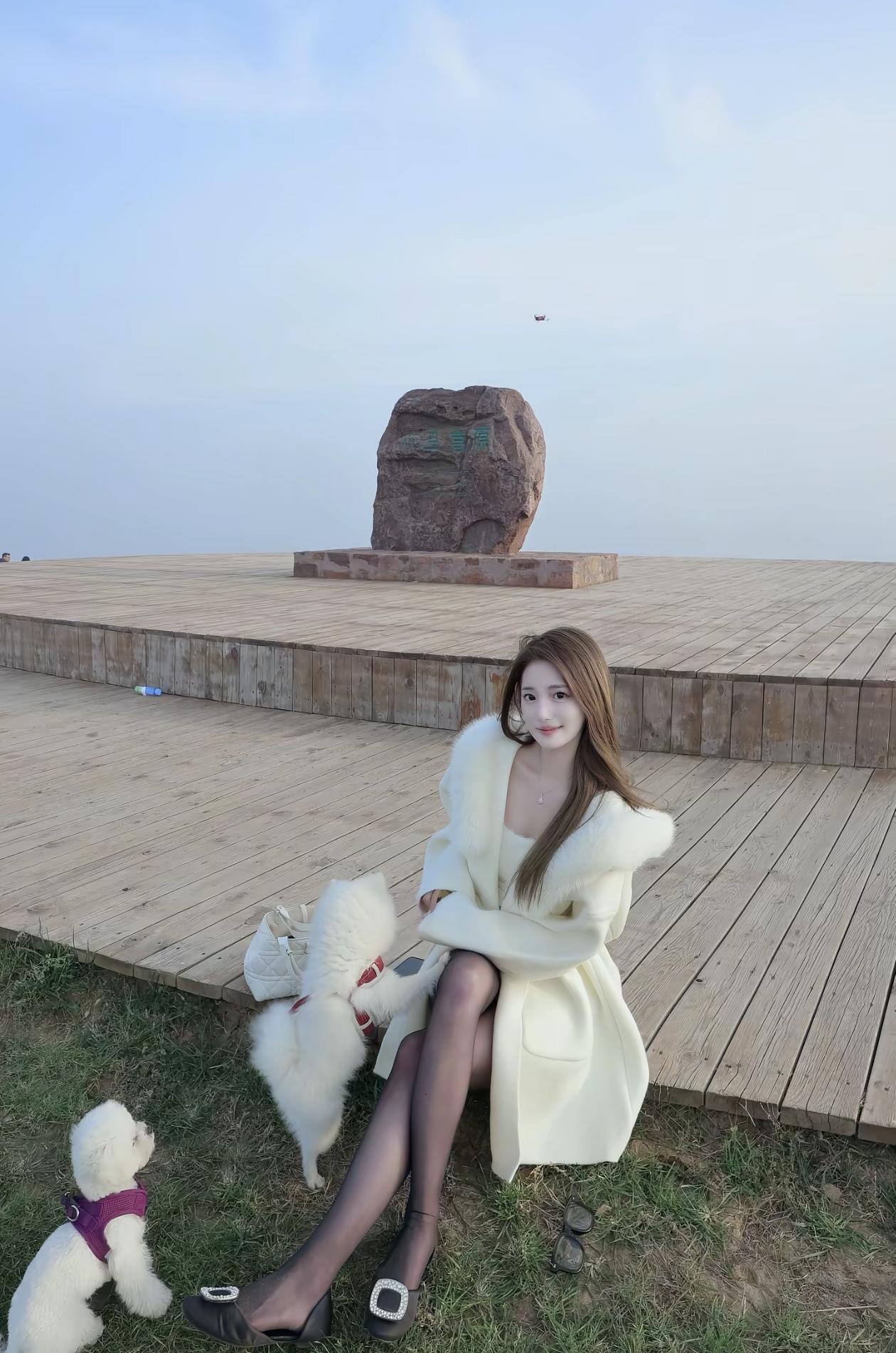 冬日暖阳下，与爱犬相伴，享受宁静时光。🌞🐾💕