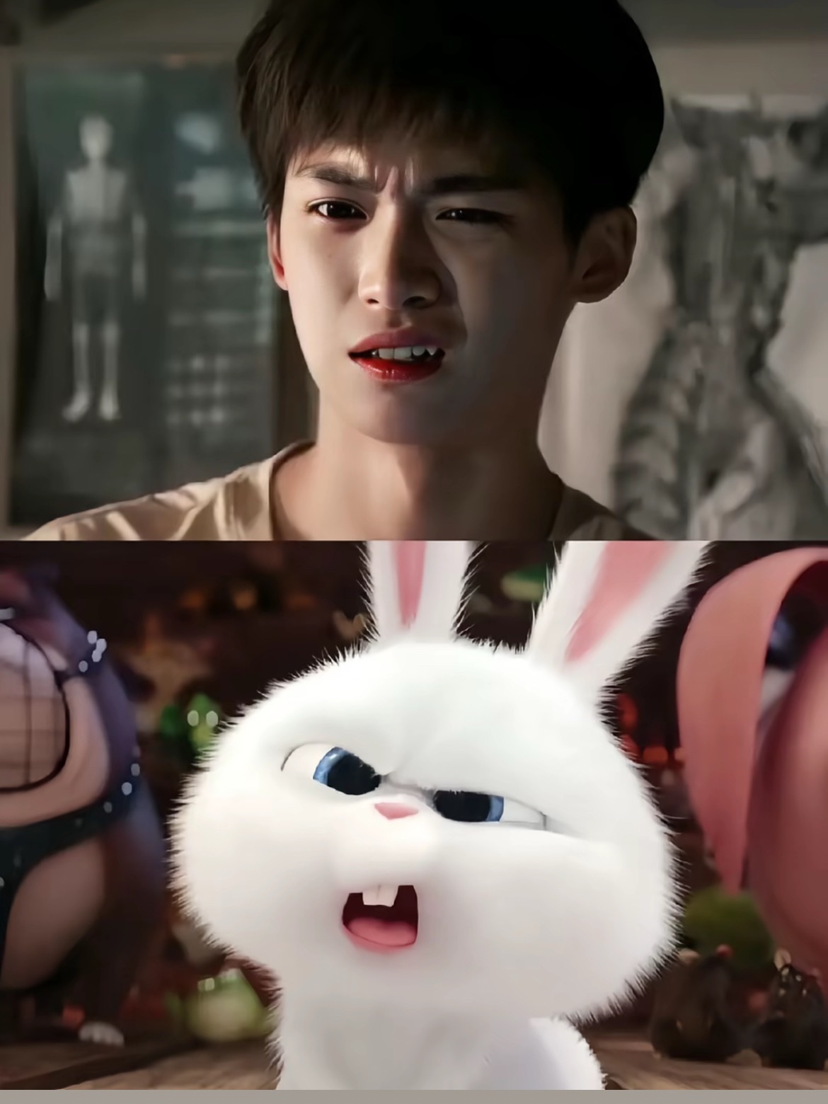 梓渝 × 兔系宝宝🐇发现梓渝兔子塑的一定是天才 ​​​