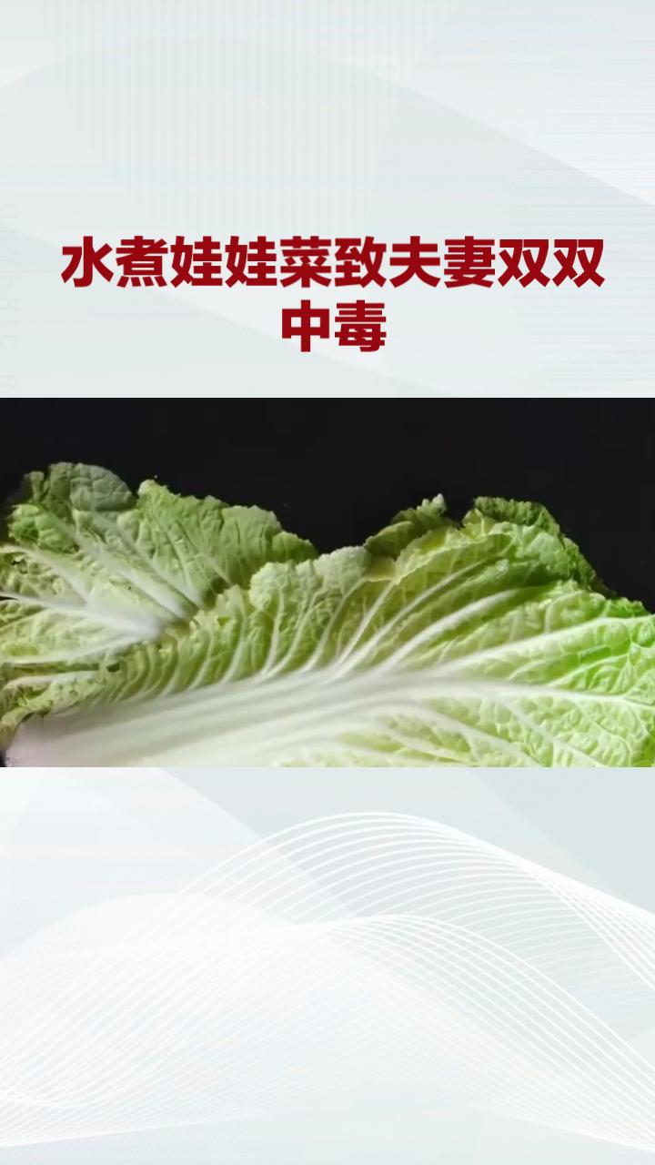 警方后续调查揭开了毒源真相：涉事商家为压缩成本，用回收的旧报纸包装娃娃菜，而这些