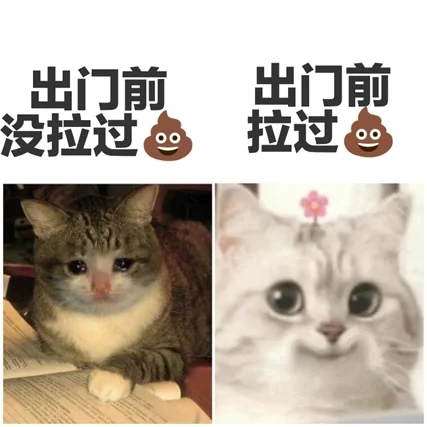 原来出门前拉屎是这种感觉啊