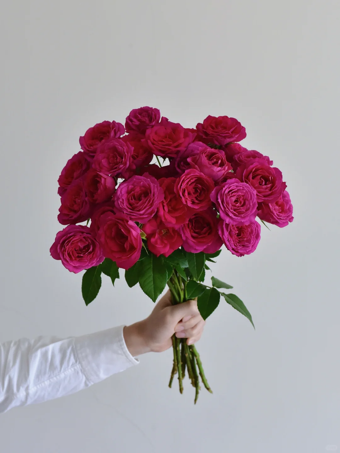 玫瑰·玫红水晶