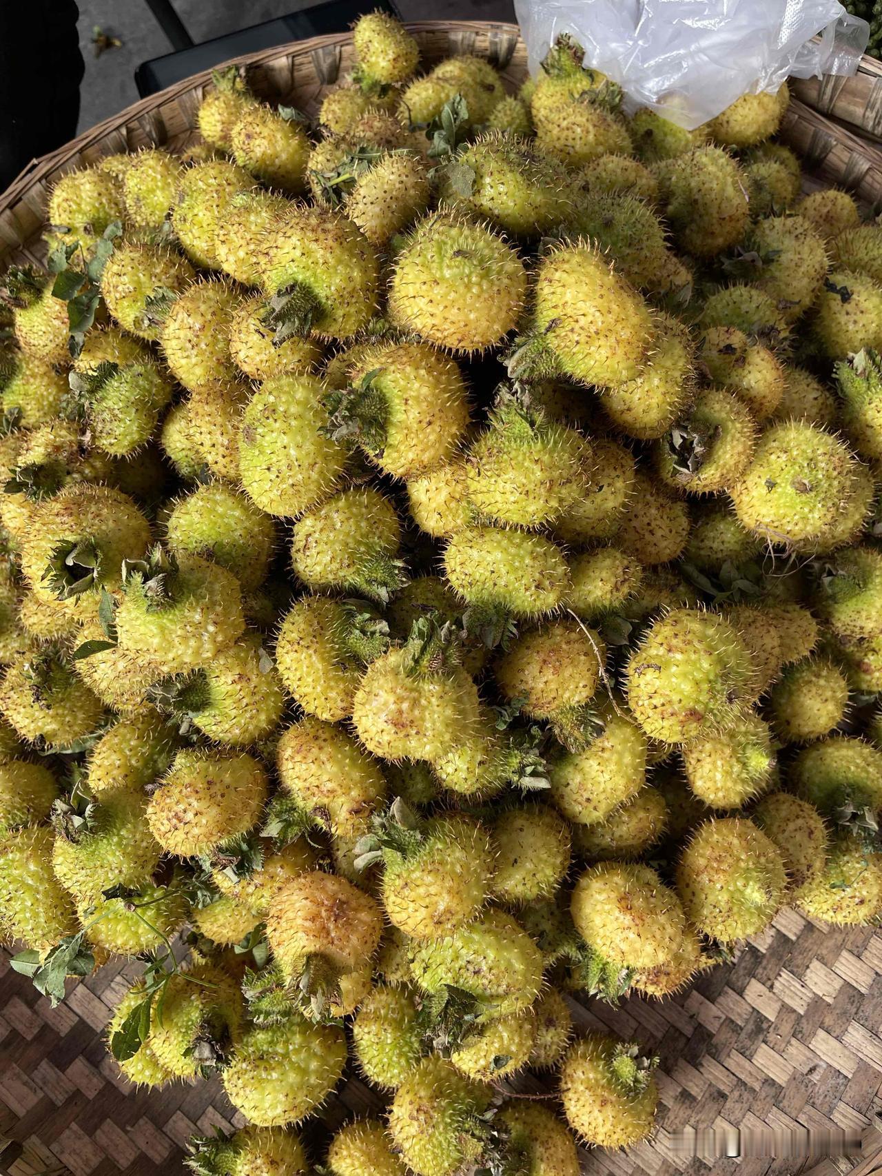 冬日生活打卡季农村没人摘的野果子，在城市每斤要十元！