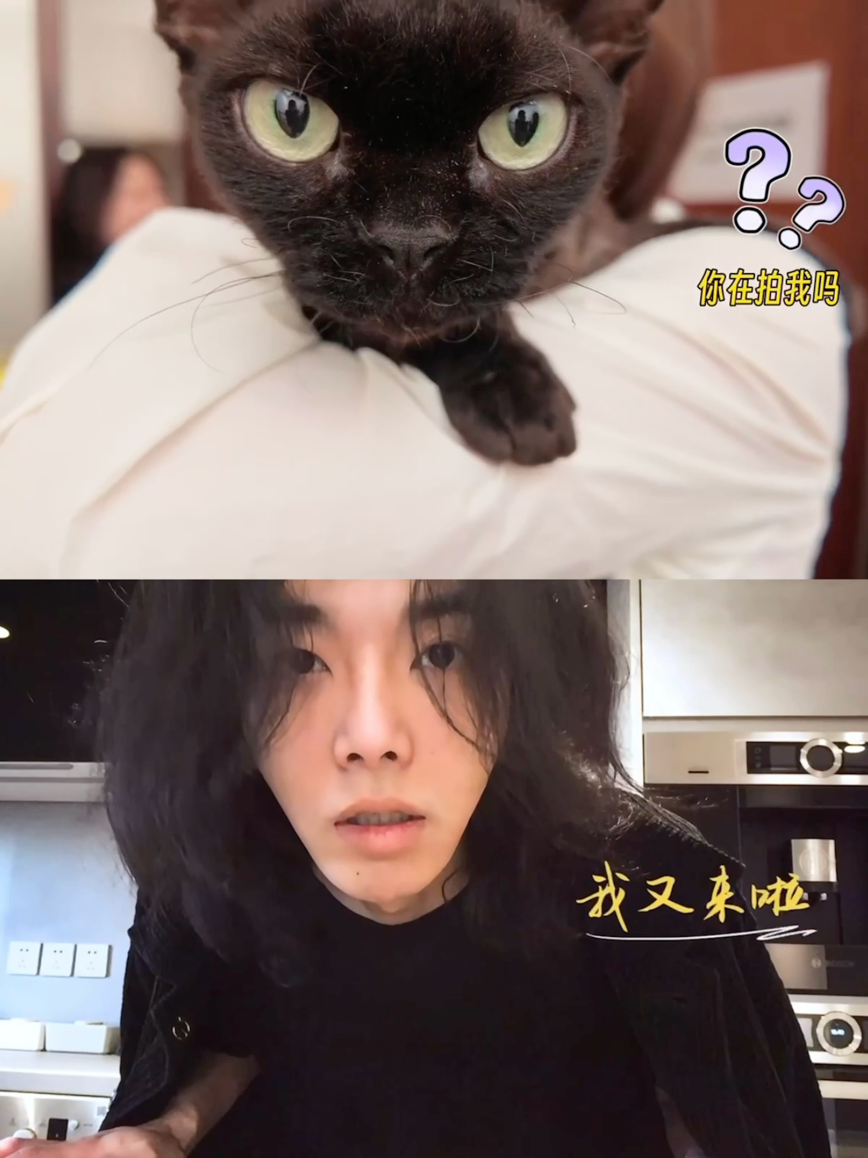 菀菀类卿[来抱抱] ​​​