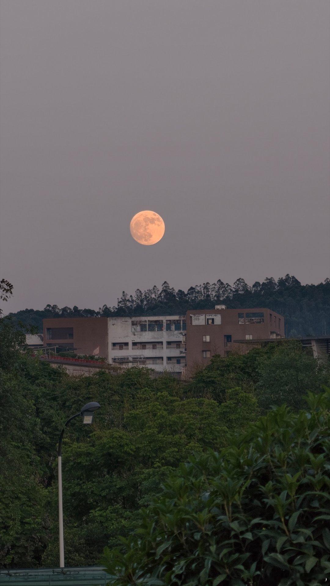 🌕 