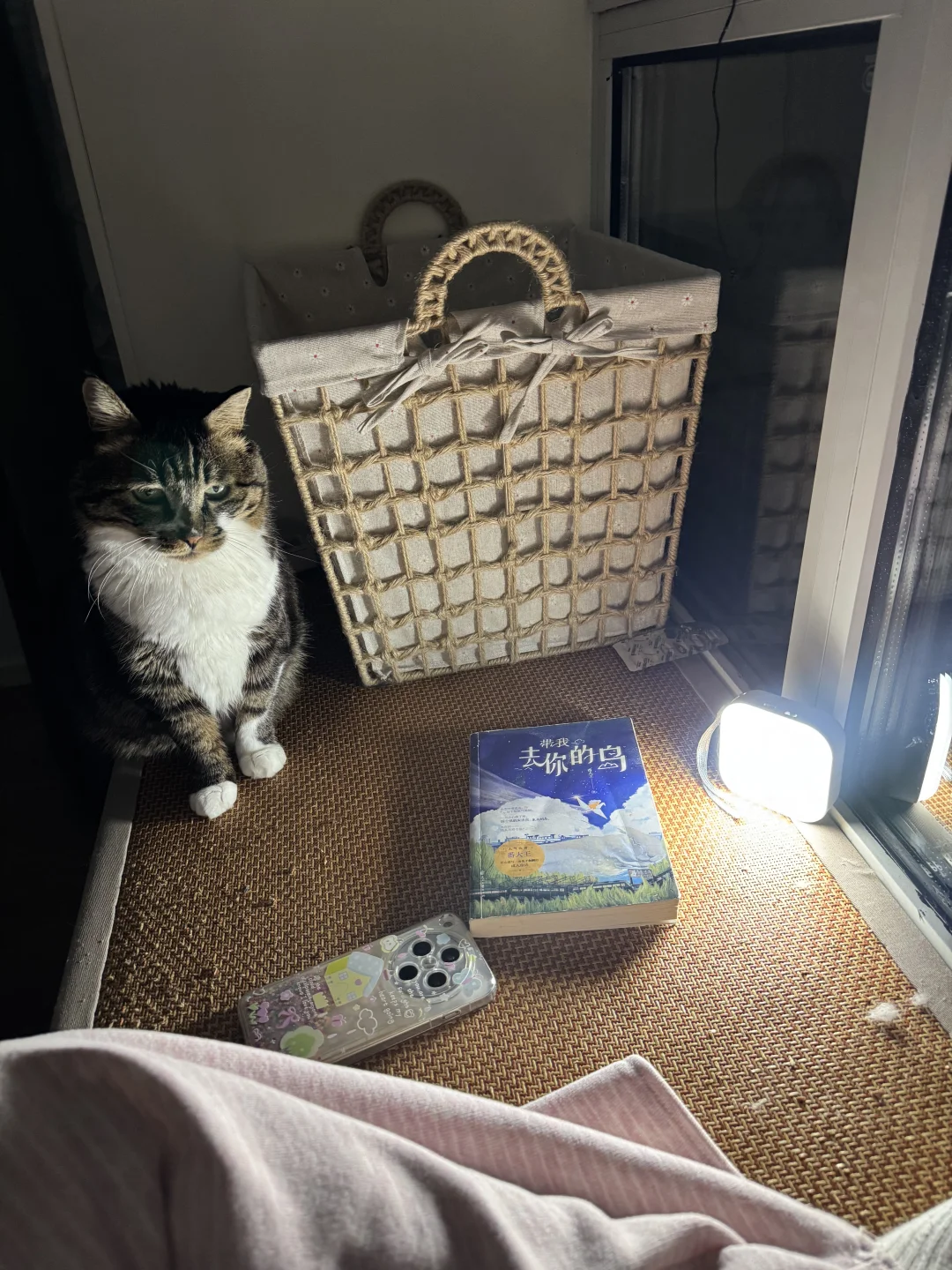 昨天家里停电了 我的抓一直陪着我